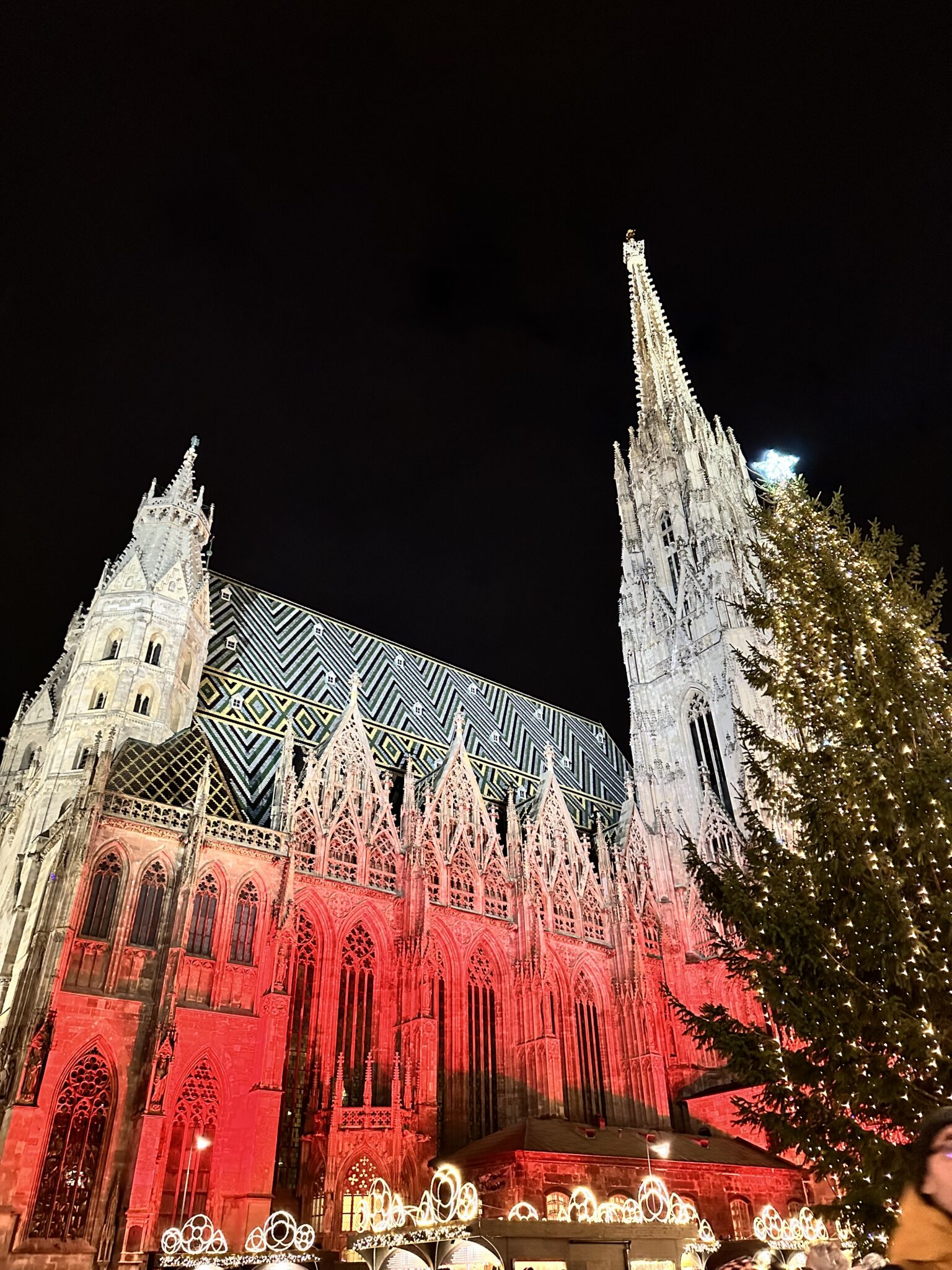 Vienna cathedral