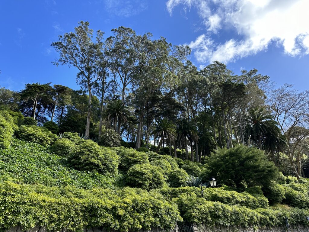 Gardens and parks of Sintra Portugal