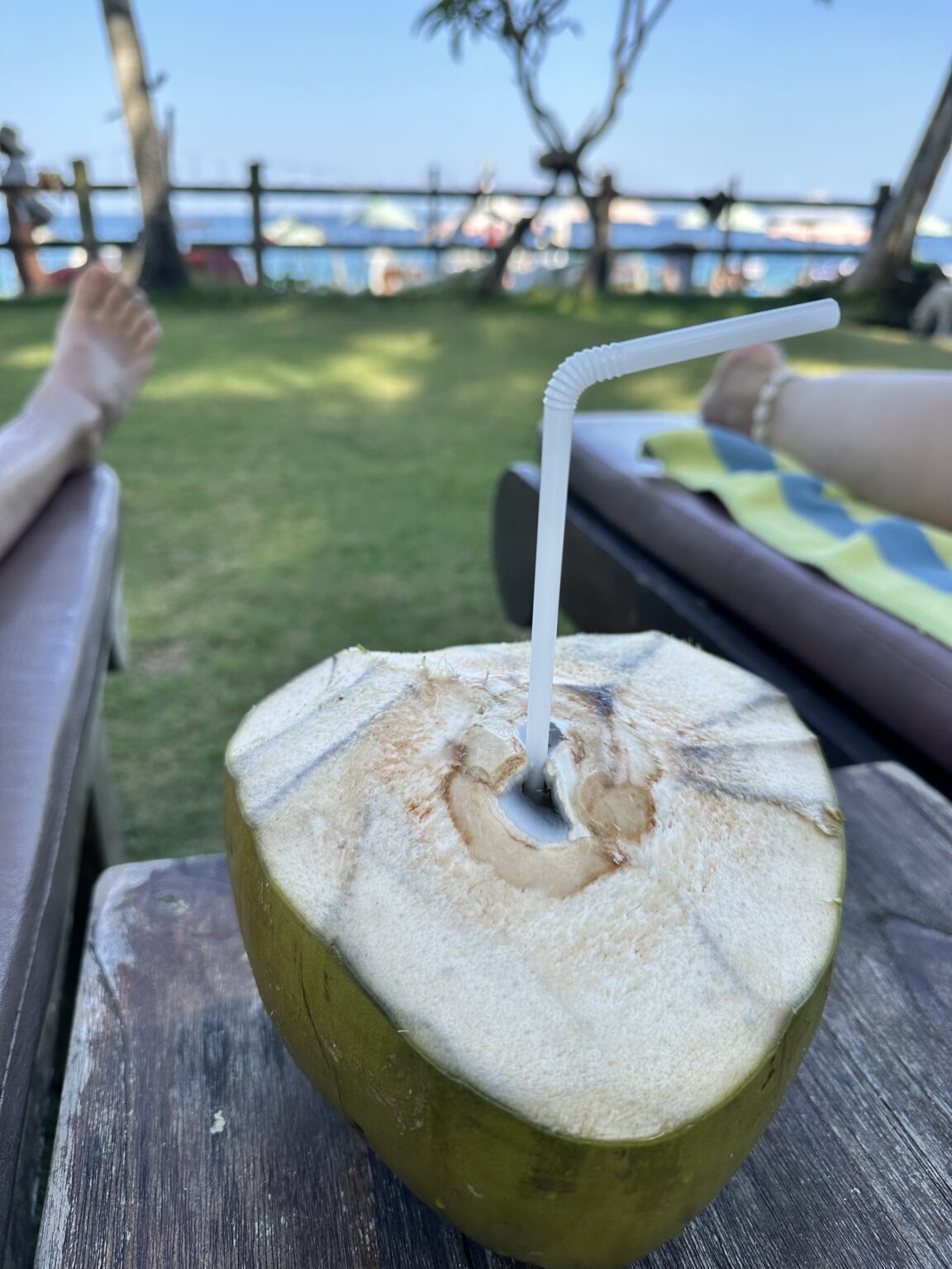 Coconut expert