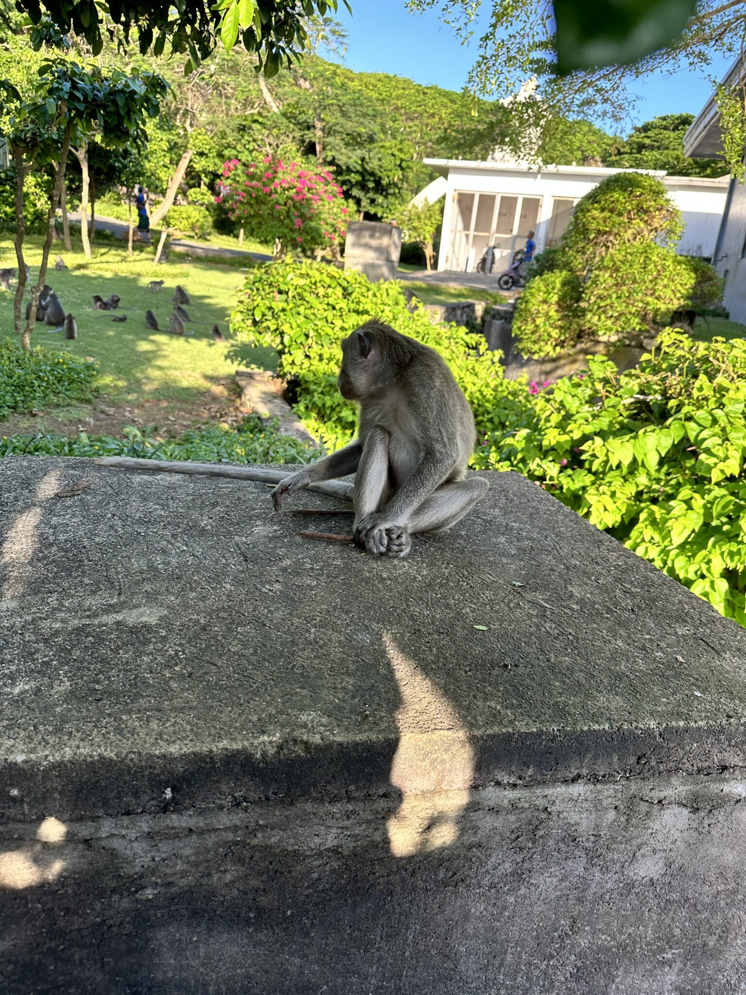 Uluwatu Temple perched on cliffs, overlooking the ocean
