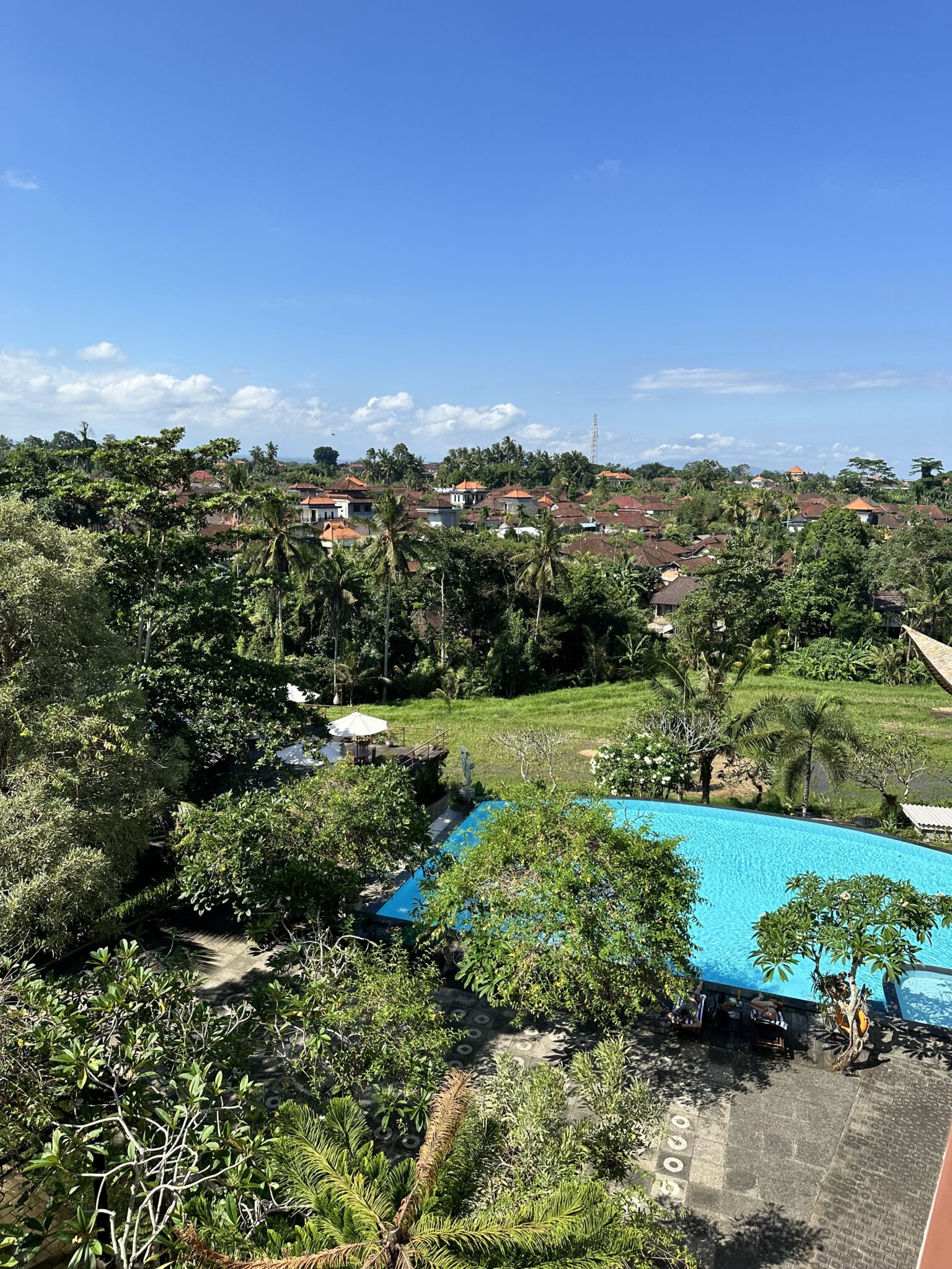 A lush view of Ubudβs rice fields and greenery