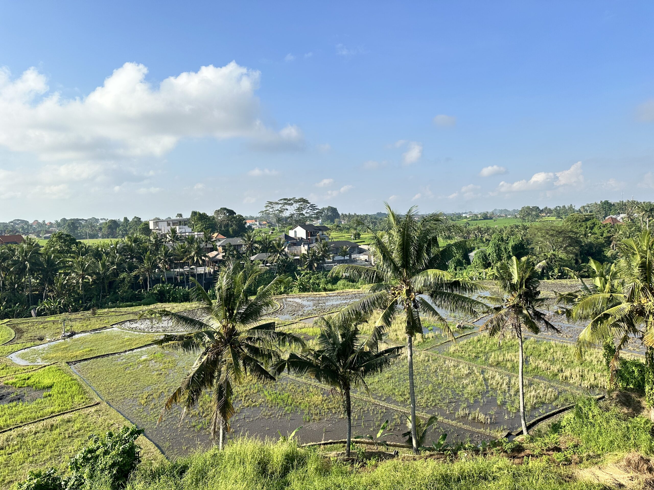 🌅 Top 15 Landmarks to Visit in Bali in 2024 (Part III)