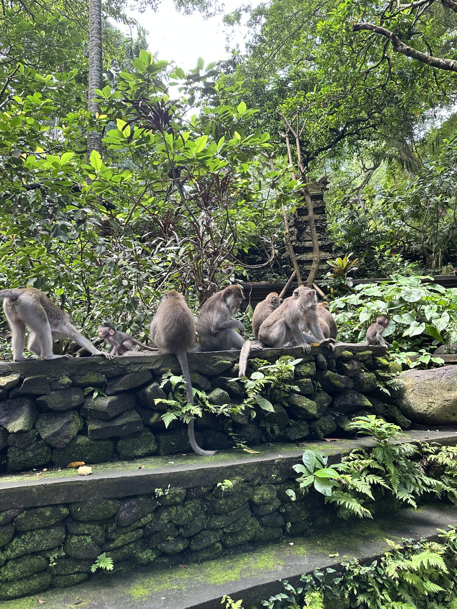 Entrance to the Sacred Monkey Forest, Bali