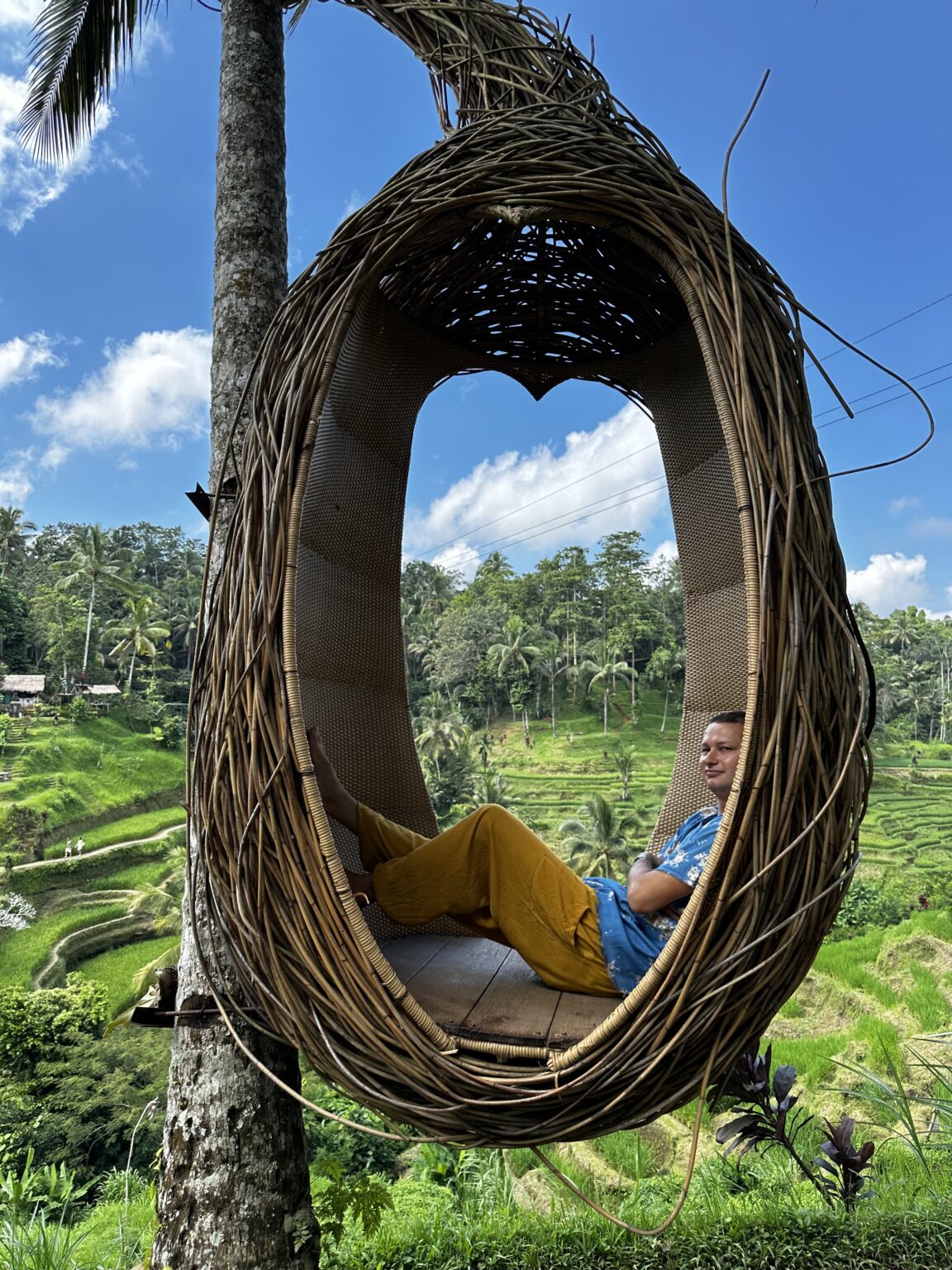 A traveler sitting inside a giant egg nest overlooking the rice terraces
