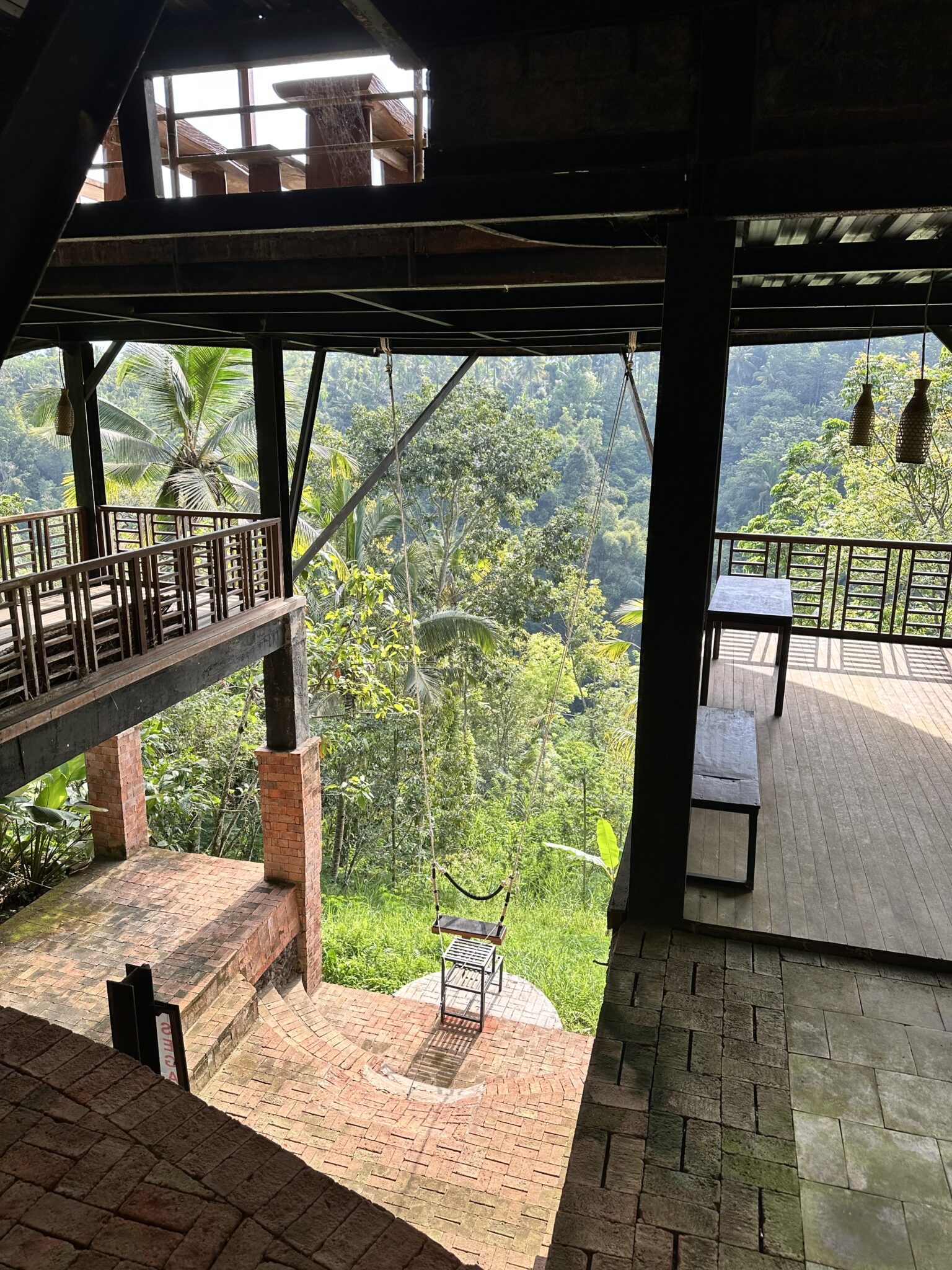 swinging over the lush green jungle at a coffee plantation