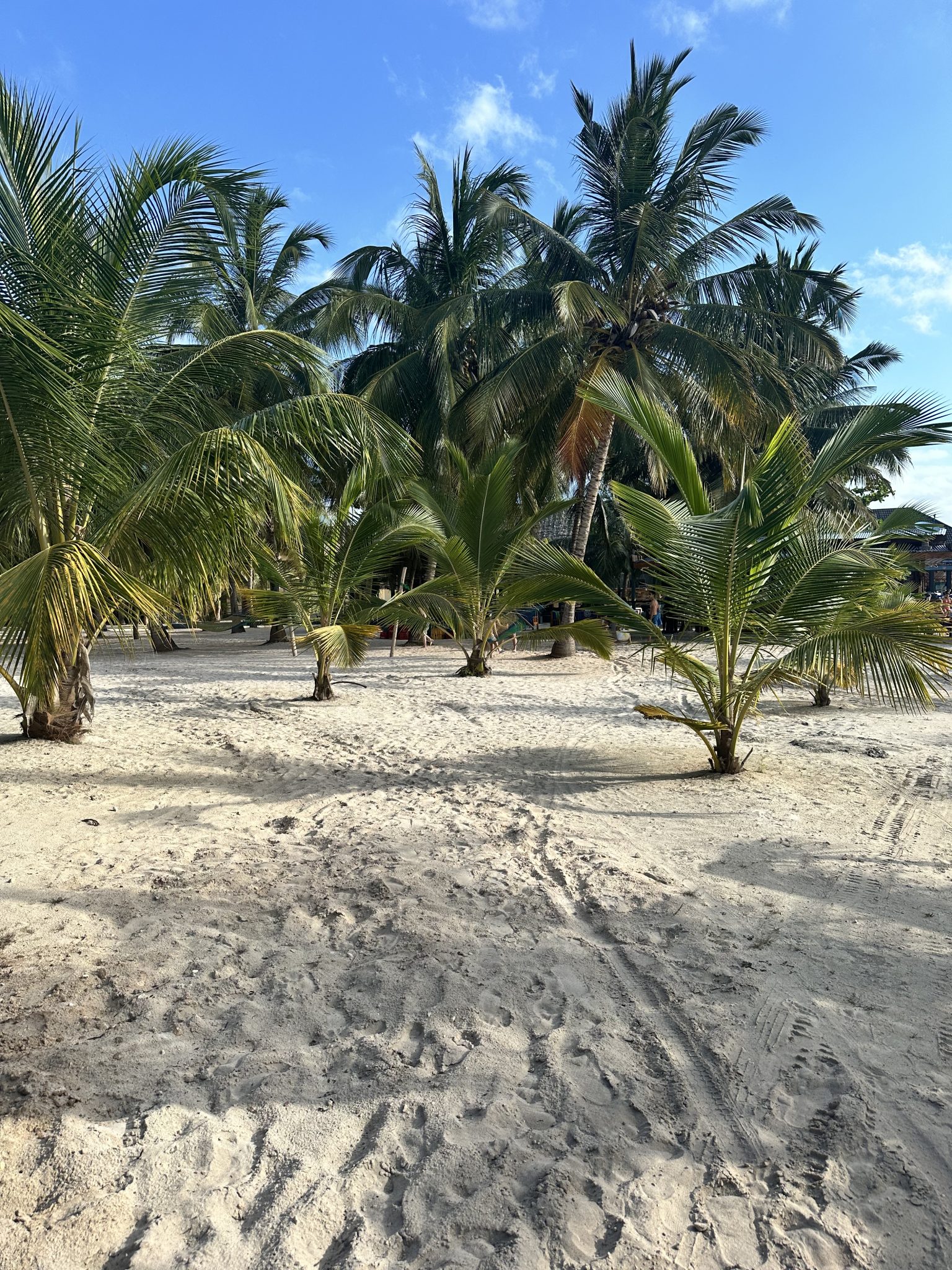 Zanzibar beach