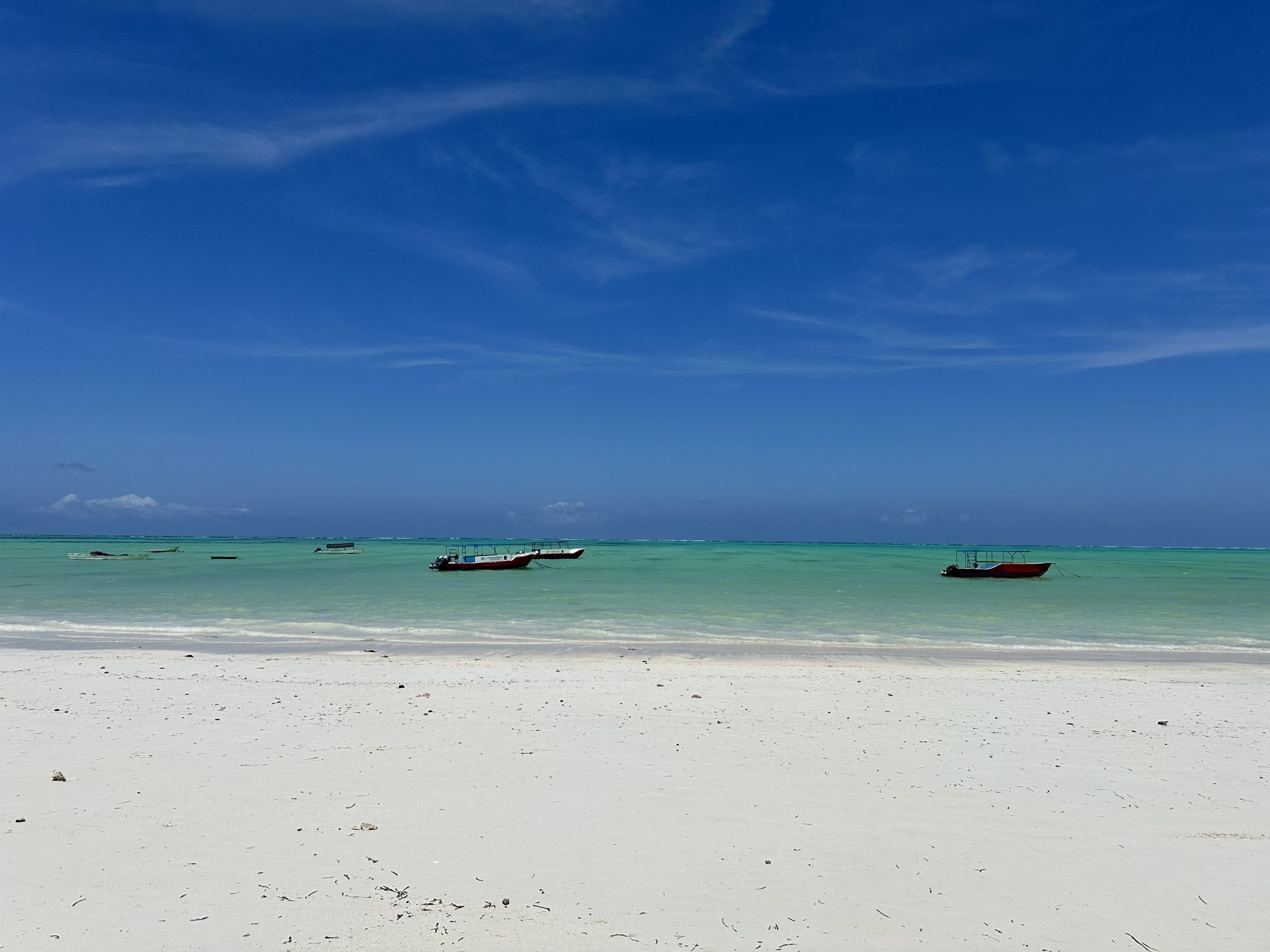 boats