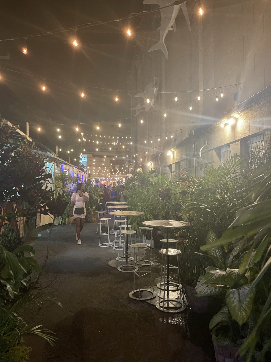 Fabrica del arte at nighttime