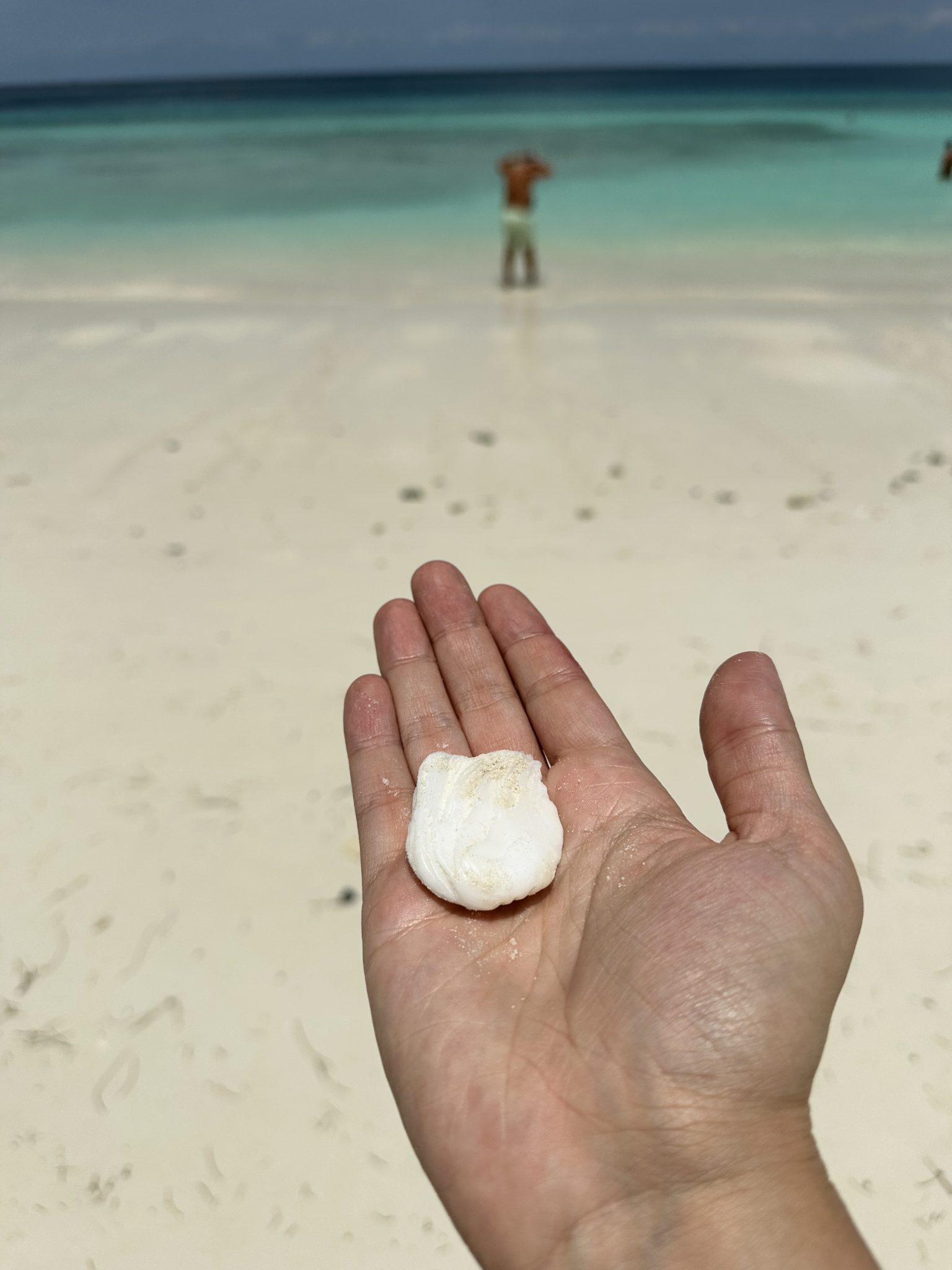 pebble on a Zanzibari beach