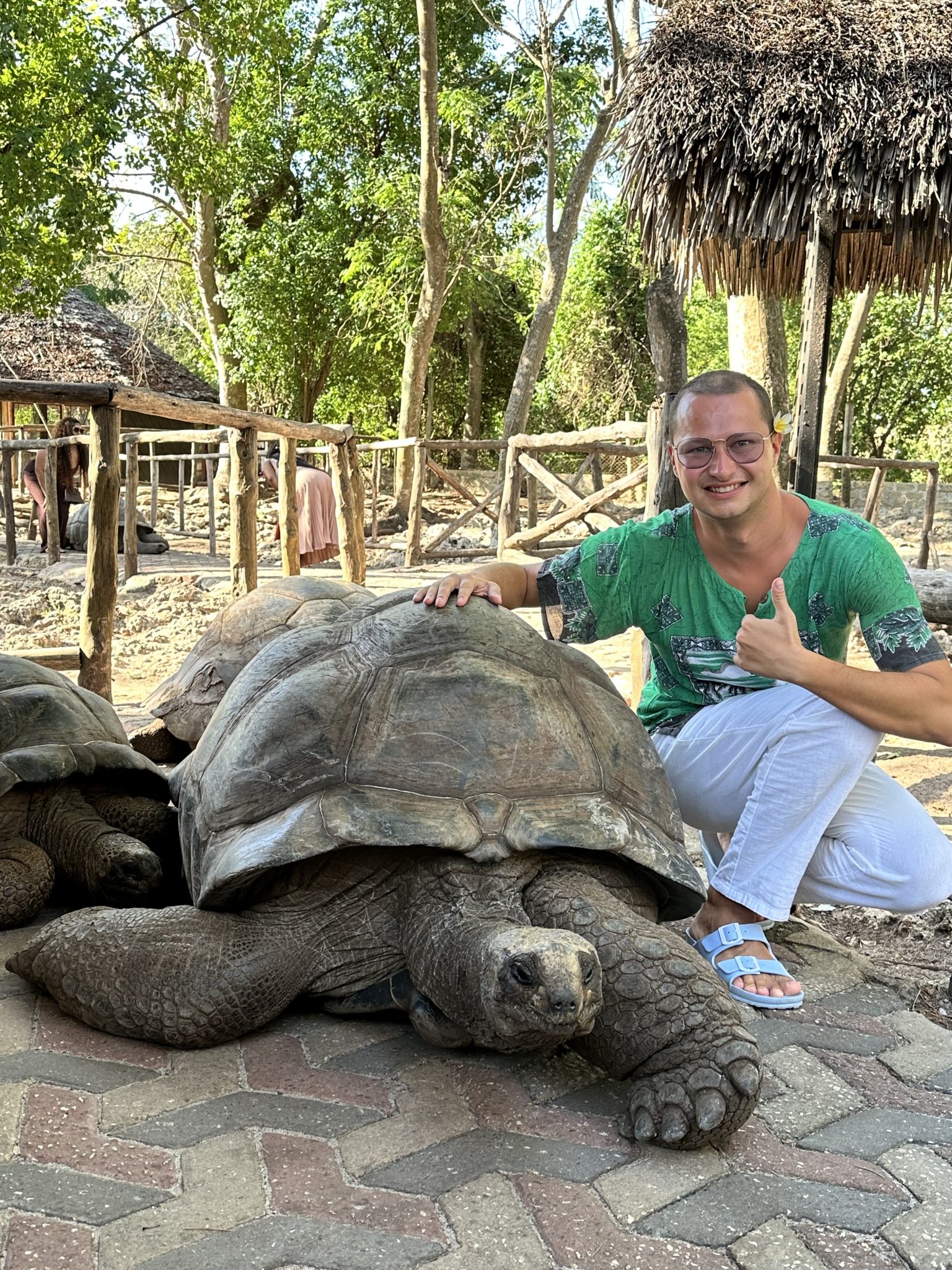 140-year old tortoise