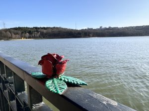 The Little Prince's rose on Lacul Morilor