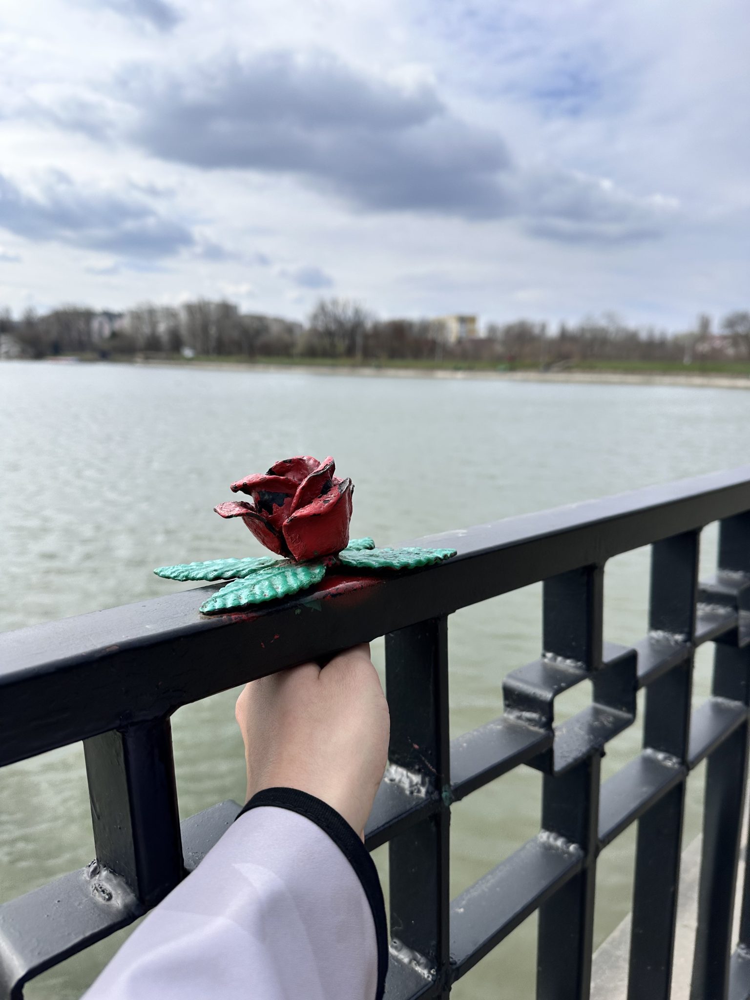 The Little Prince's rose in Chisinau, bathed in sunlight